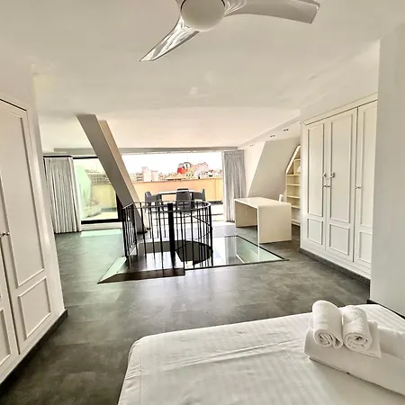 Atico Duplex Con Terraza & Parking En El Centro Valencia